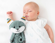 Load image into Gallery viewer, Zazu Sounds Machine Felix, Robin and Becky