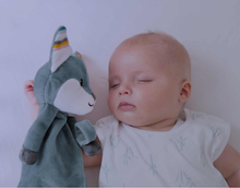 Load image into Gallery viewer, Zazu Sounds Machine Felix, Robin and Becky