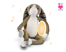 Load image into Gallery viewer, Zazu Night Light - Max, Bo and Katie