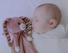 Load image into Gallery viewer, Zazu Sounds Machine Felix, Robin and Becky