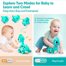 Load image into Gallery viewer, The Kiddie Concept Dinosaur Crawling Musical and Interactive Baby Toy