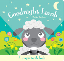 Load image into Gallery viewer, Magic Torch Book Good Night By Joshua George