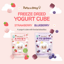 Load image into Gallery viewer, Farm to Baby Yogurt Cubes