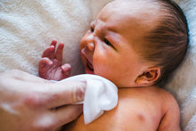 Load image into Gallery viewer, WaterWipes Biodegradable Pack of 4 x 60 pulls