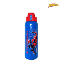 Load image into Gallery viewer, Zippies Lab Disney 1L Insulated Tumblers with Carrying Pouch
