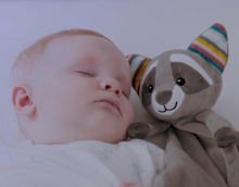 Load image into Gallery viewer, Zazu Sounds Machine Felix, Robin and Becky