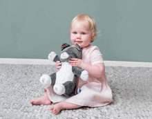 Load image into Gallery viewer, Zazu Soft Toys Chloe And Timo