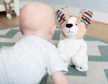 Load image into Gallery viewer, Zazu Soft Toy Danny the dog