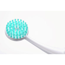 Load image into Gallery viewer, Tung Brush - Tongue Cleaner Without Cap (Colors Vary)