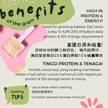 Load image into Gallery viewer, Little Baby Grains by Gnubkins - Let's Chew from 10 months (BASIC Range)