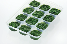 Load image into Gallery viewer, Richell Baby Food Freezer Tray