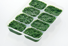 Load image into Gallery viewer, Richell Baby Food Freezer Tray