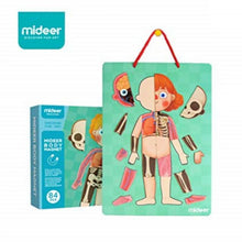 Load image into Gallery viewer, Mideer Body Magnet