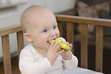 Load image into Gallery viewer, Kidsme Food Feeder Large