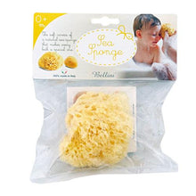 Load image into Gallery viewer, Bellini Natural Honeycomb Bath Sponge