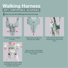 Load image into Gallery viewer, Bebear Walking Harness