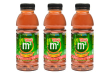 Load image into Gallery viewer, M2 Malunggay Tea Drink Ready to Drink 320ml