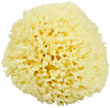 Load image into Gallery viewer, Bellini Natural Honeycomb Bath Sponge