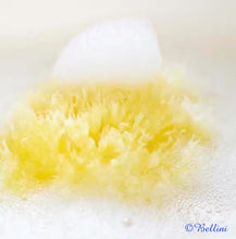 Load image into Gallery viewer, Bellini Natural Honeycomb Bath Sponge