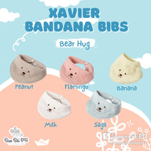 Load image into Gallery viewer, Bao Bei Xavier Bandana Bibs (Set of 5)