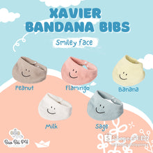 Load image into Gallery viewer, Bao Bei Xavier Bandana Bibs (Set of 5)