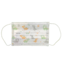 Load image into Gallery viewer, Disposable Kids Face Mask