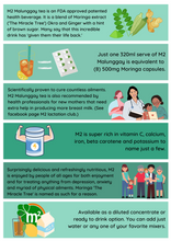 Load image into Gallery viewer, M2 Malunggay Tea Drink Ready to Drink 320ml