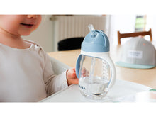 Load image into Gallery viewer, Beaba Straw Cup 300ml