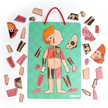 Load image into Gallery viewer, Mideer Body Magnet