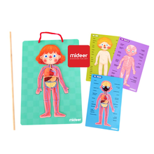 Load image into Gallery viewer, Mideer Body Magnet