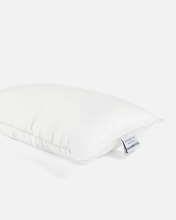 Load image into Gallery viewer, Ava & Ava - Bamboo Lyocell Toddler Pillow