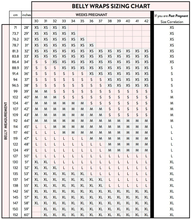 Load image into Gallery viewer, Belly Bandit Viscose from Bamboo Belly Wrap