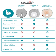 Load image into Gallery viewer, Babymoov - Head Pillow Lovenest Original