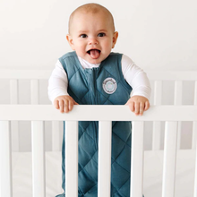 Load image into Gallery viewer, Dreamland Baby Dream Weighted Sleep Sack