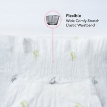 Load image into Gallery viewer, Applecrumby Chlorine Free Baby Tape Diaper