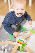 Load image into Gallery viewer, Twistshake 2x Pacifier 6+m