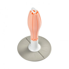 Load image into Gallery viewer, Beaba Flower Foldable Drying Rack