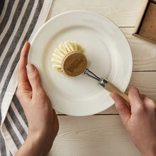 Load image into Gallery viewer, Zippies Earth Sponge Dish Brush
