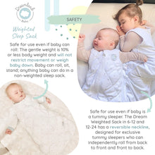Load image into Gallery viewer, Dreamland Baby Dream Weighted Sleep Sack