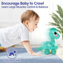 Load image into Gallery viewer, The Kiddie Concept Dinosaur Crawling Musical and Interactive Baby Toy
