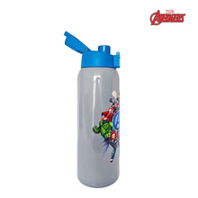 Load image into Gallery viewer, Zippies Lab Disney 1L Insulated Tumblers with Carrying Pouch
