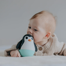 Load image into Gallery viewer, Jellystone Penguin Wobble
