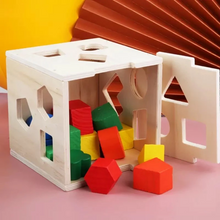 Load image into Gallery viewer, Wooden Fifteen Hole Shape Intelligence Box

