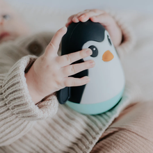 Load image into Gallery viewer, Jellystone Penguin Wobble
