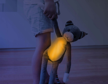 Load image into Gallery viewer, Zazu Night Light - Max, Bo and Katie

