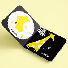 Load image into Gallery viewer, Hinkler Explore High-Contrast Neon Baby&#39;s First Books

