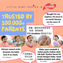 Load image into Gallery viewer, Little Baby Grains by Gnubkins - Let&#39;s Nourish from 15 months (BASIC Range)
