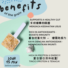 Load image into Gallery viewer, Little Baby Grains by Gnubkins - Let&#39;s Nourish from 15 months (BASIC Range)
