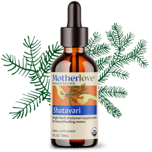 Load image into Gallery viewer, Motherlove - Shatavari  Tincture
