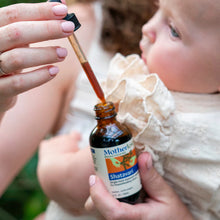 Load image into Gallery viewer, Motherlove - Shatavari  Tincture
